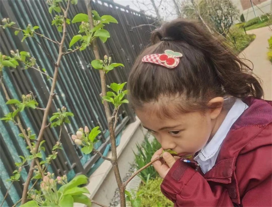 一八学校幼儿园(理想国校区)丨中国郑州丨翰祥景观-54