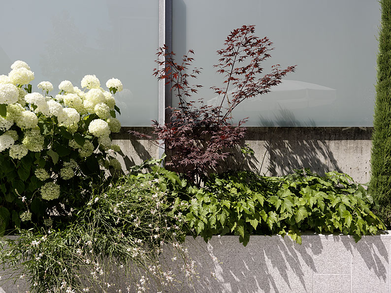 收藏家绿洲——混凝土与极简主义的完美融合-18