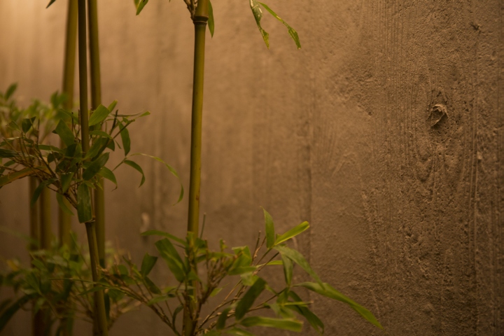 Oryouri Horikawa 日本民族风格餐厅丨日本大阪丨建筑工作室 mousetrap-16