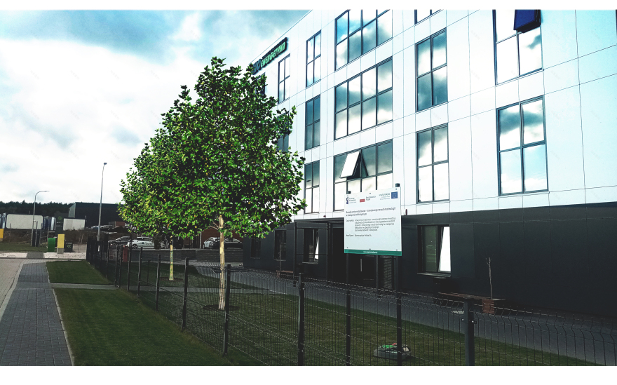 树木种植可视化展示丨mgr inż. arch. kraj. Olga Bobowska-2