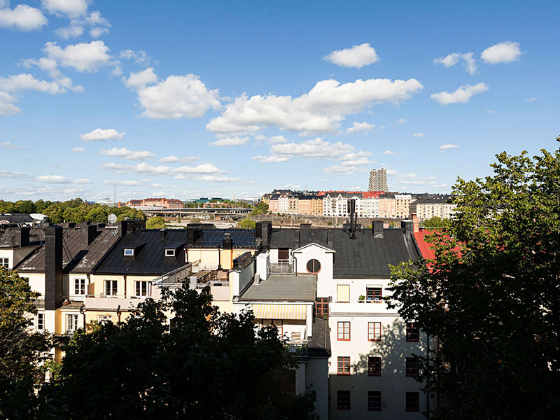 斯德哥尔摩工业风公寓的温馨乡村设计-7