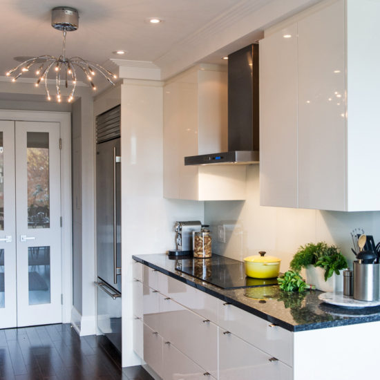 Avenue Road公寓重建项目丨Timothy Johnson Design-15