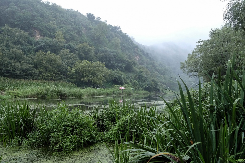 怀柔渤海镇栗花溪谷风景道提升设计丨中国北京丨九源（北京）国际建筑顾问有限公司-188