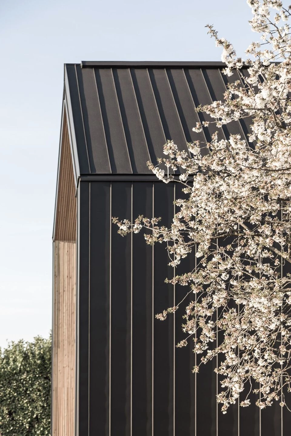 LIA – 在黑色墙壁后面丨Austria丨STEINBAUER architektur+design-13