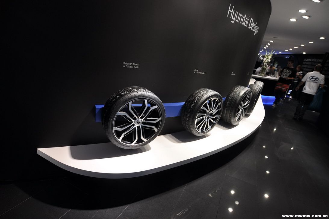 法兰克福国际车展-6-10