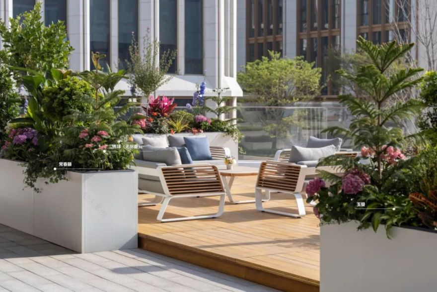 食游一体的活力空中花园|上海青浦西岑水上餐厅花园-42