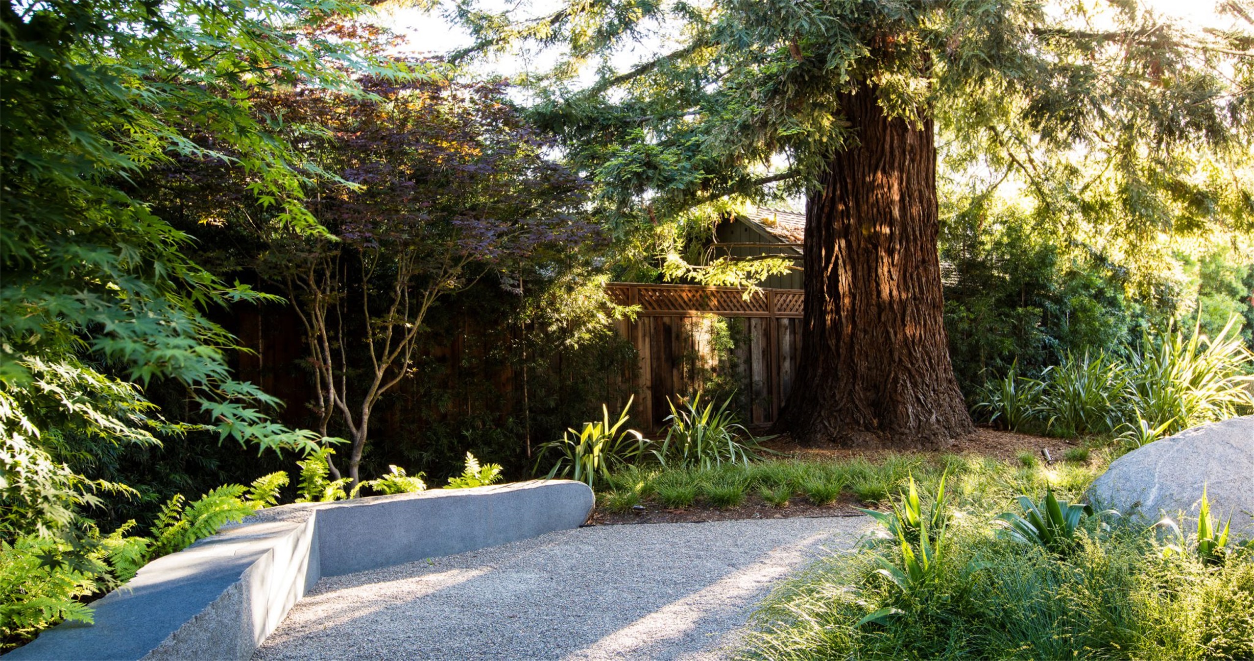 自然生长 · 私宅景观丨美国加利福尼亚-109