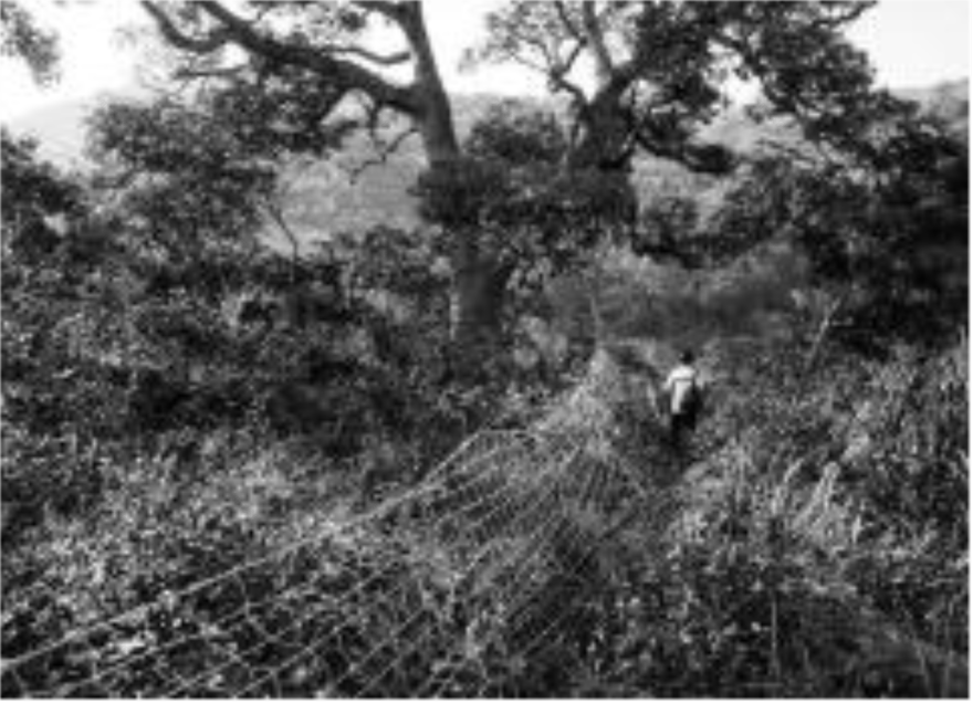 三沙光影小镇休闲步道二期丨中国宁德丨上海川木景观设计有限公司-17