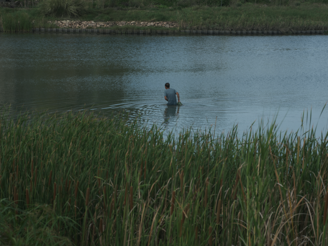 三亚崖州湾科技城通海公园五区丨中国三亚丨成都麦微景观建筑事务所-7