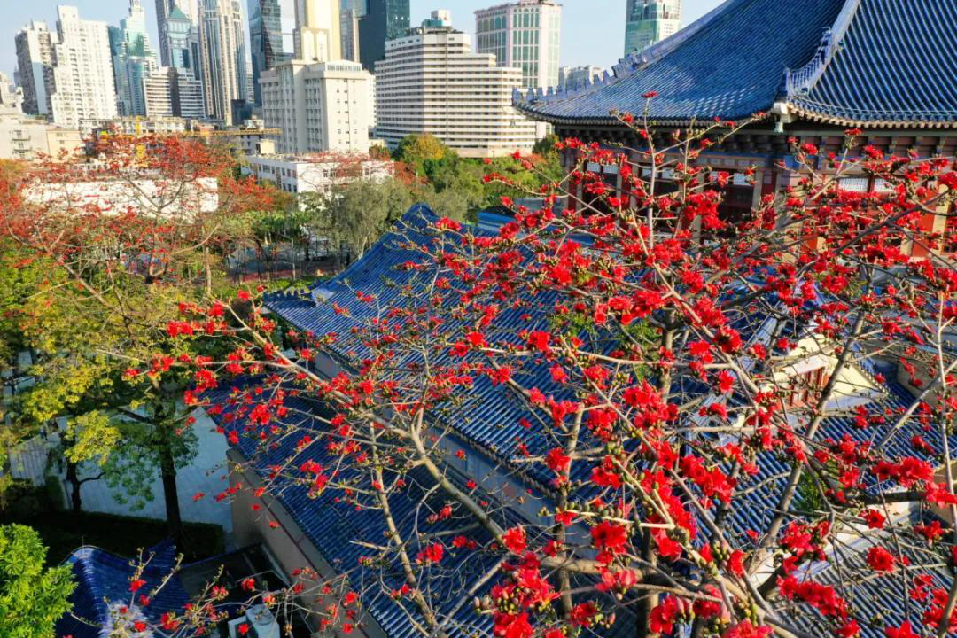 花漾广州 · 四季繁花的花城时空丨中国广州丨GZPI景观与旅游规划设计所-24