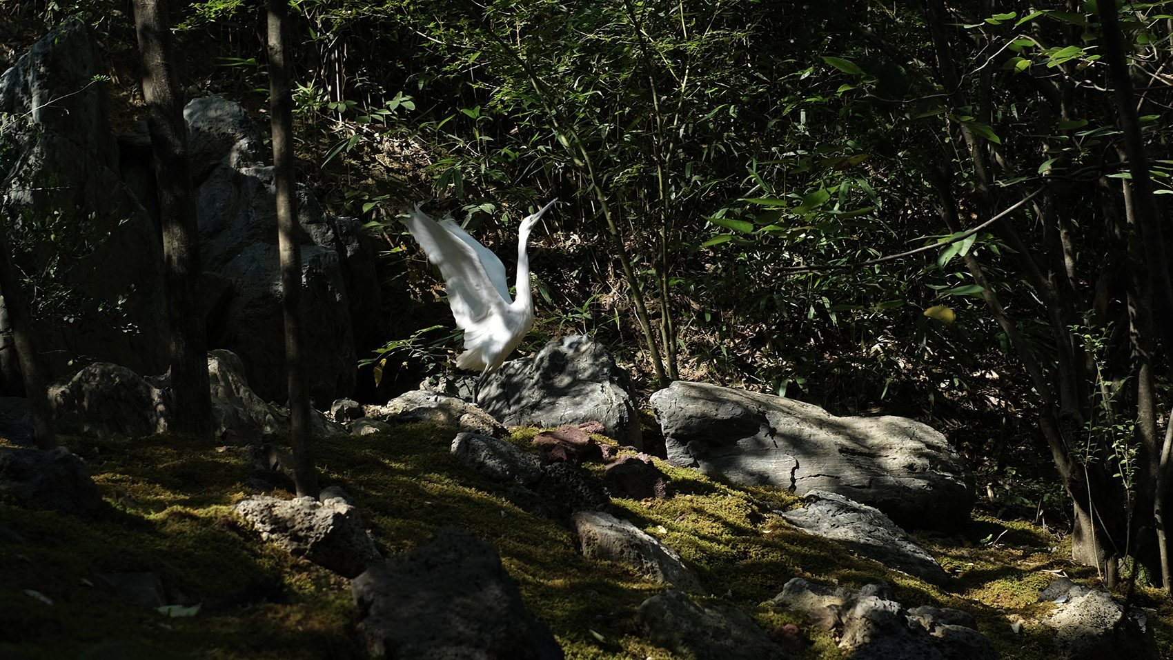 汖墟,杭州丨中国杭州丨山山园林-156