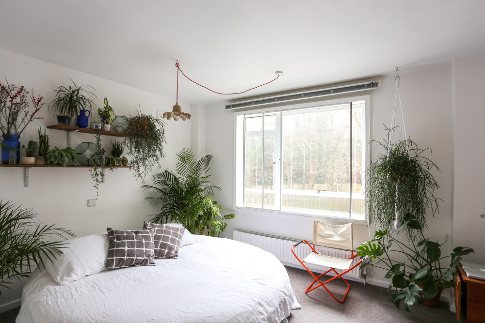 翠绿的；碧绿的；葱茏的-6