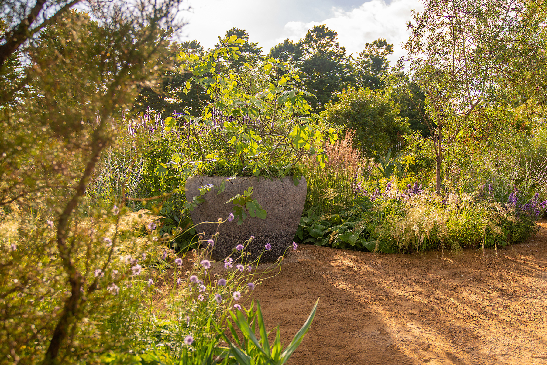 Hampton Court 2021-1