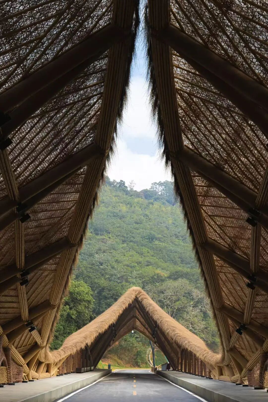 竹境案例|天人山水大地艺术园-竹桥-7