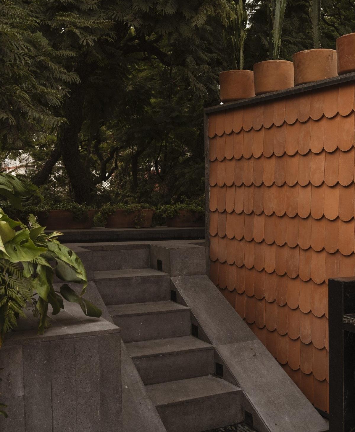 墨西哥 Ignacia Guest 住宅丨墨西哥墨西哥城丨Andres Gutierrez,Factor efficiencia-24