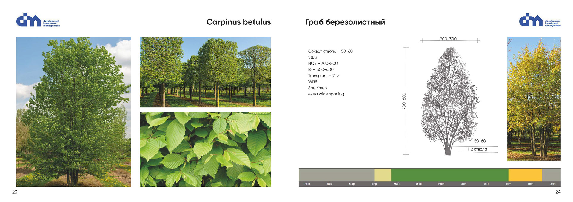 Greening standard for DIM Development-10