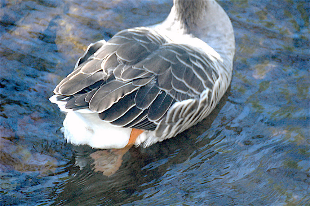复古复兴 | 19 世纪 50 年代美国宾夕法尼亚州小威尼斯建筑群-133