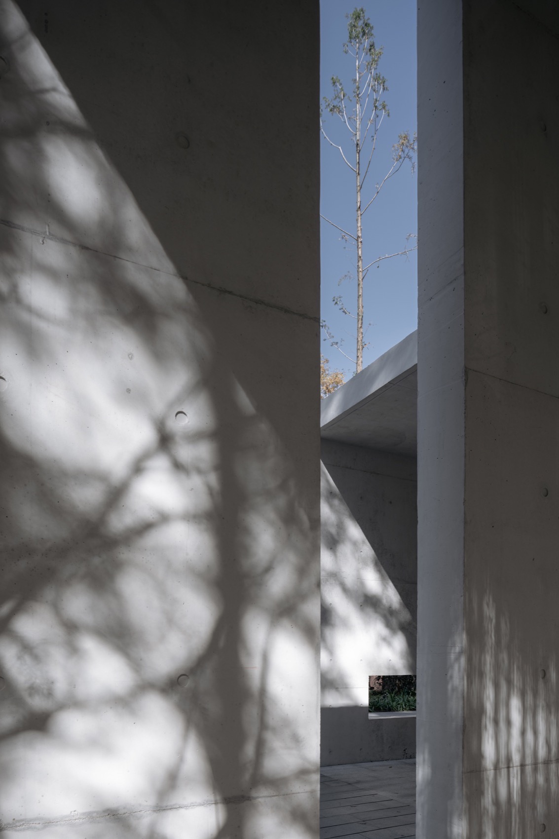 上海田林公园游客服务中心丨中国上海丨VIA维亚景观-42