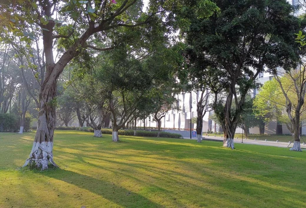 云山雅境,花园会议——广州白云国际会议中心-68