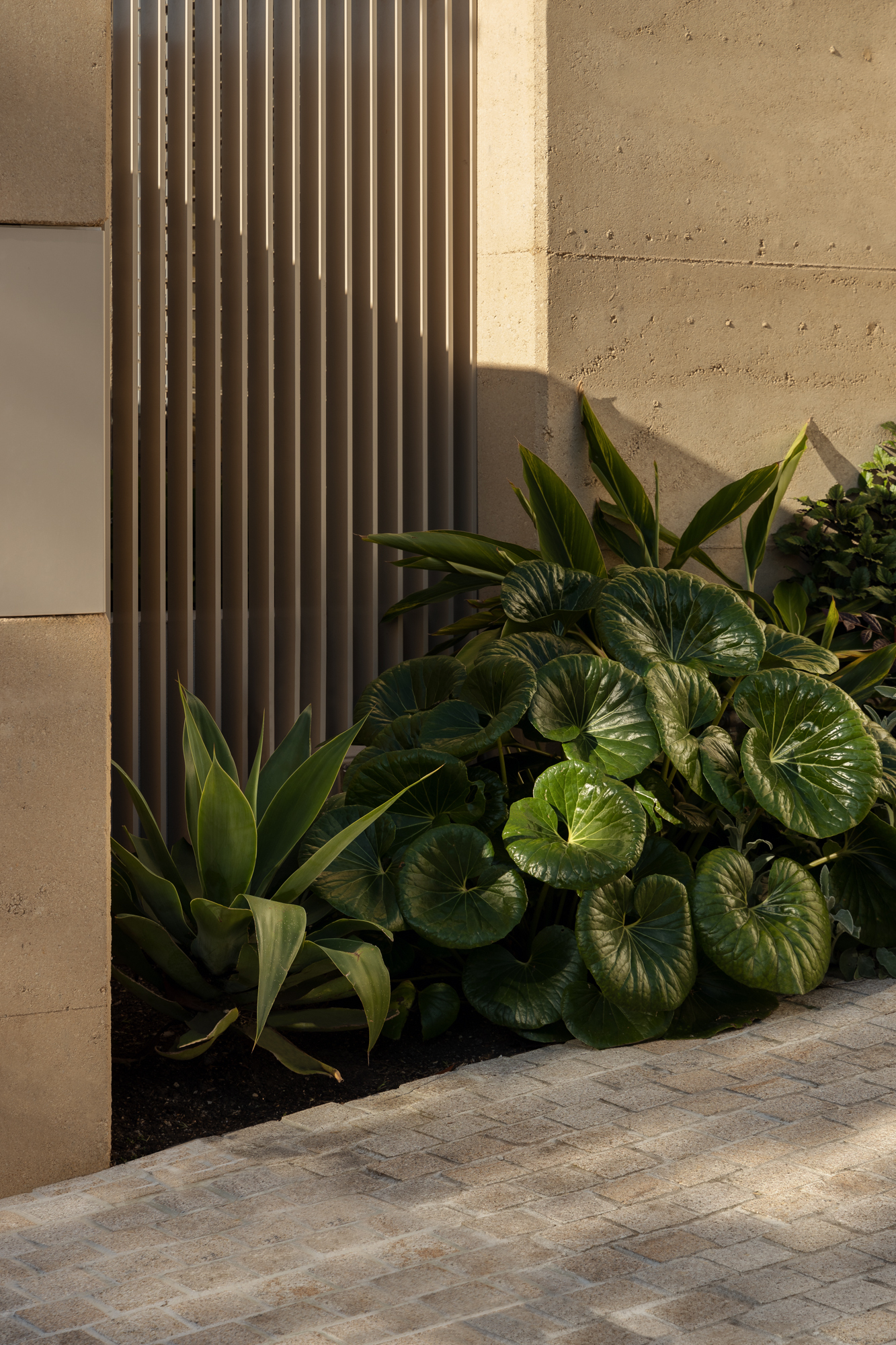 丨澳大利亚墨尔本丨ADDARC-58