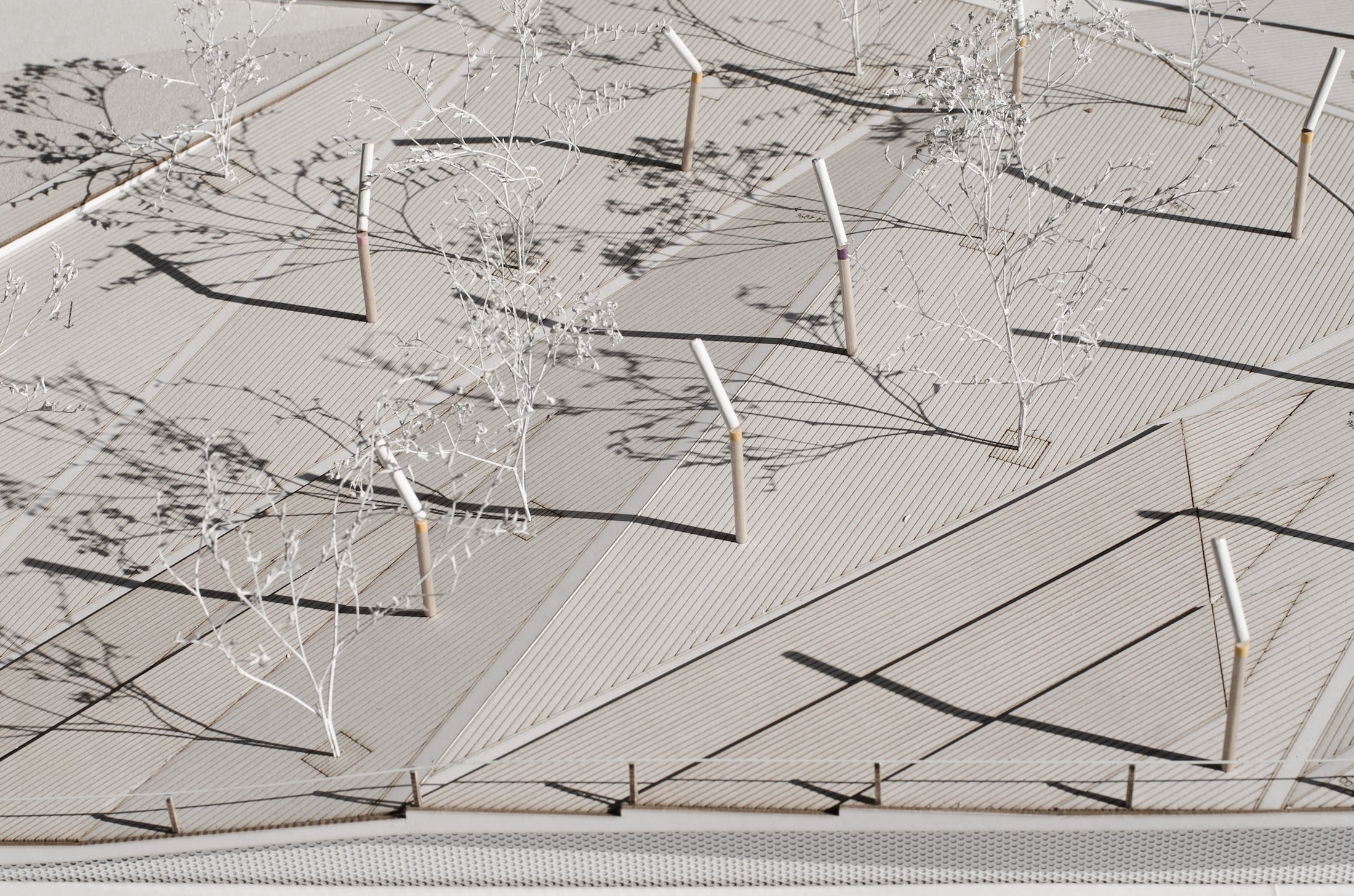 DT小广场丨贝尔格莱德-27