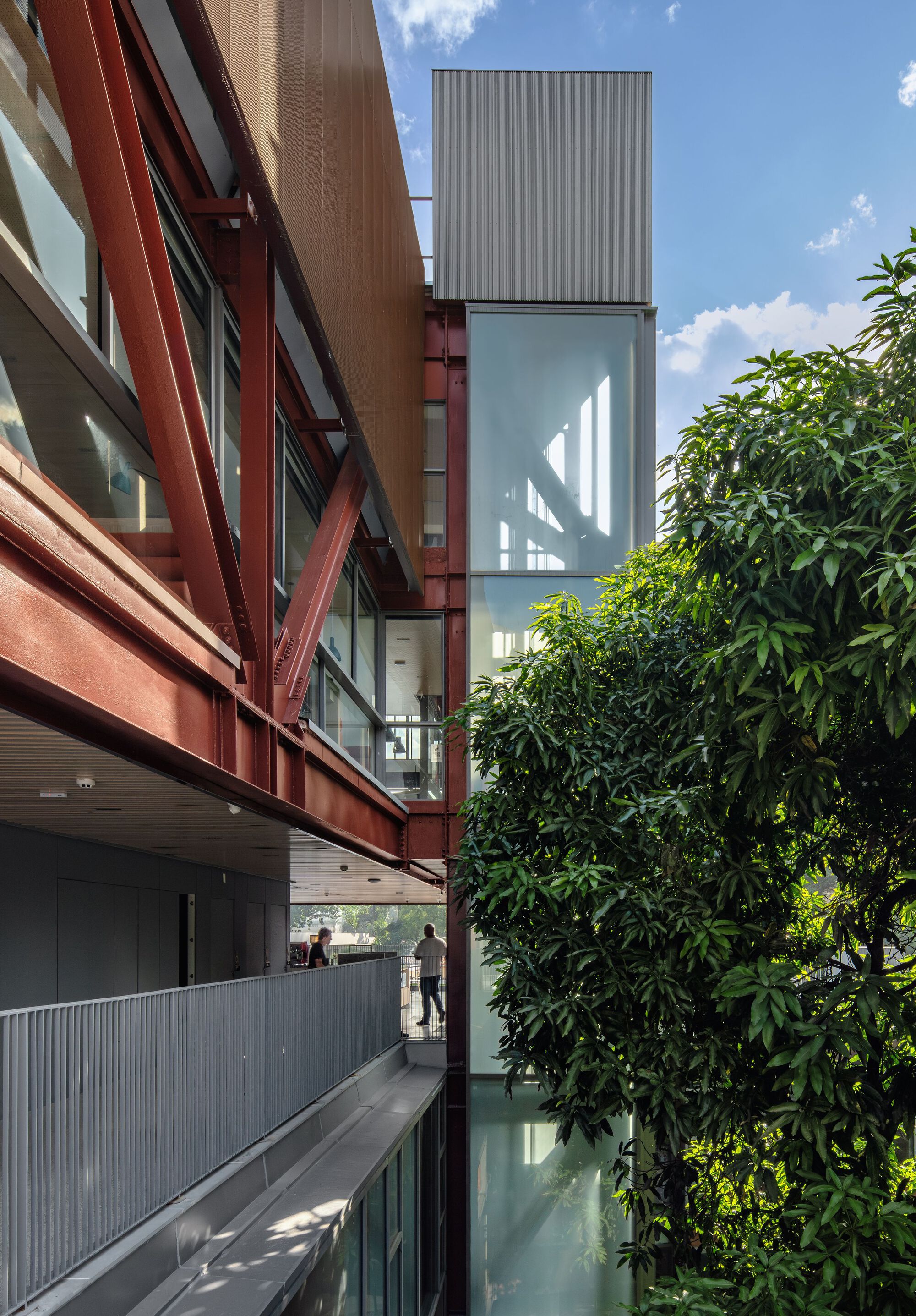 Rudolf Steiner 大学新总部丨巴西圣保罗丨Biselli Katchborian Arquitetos-47