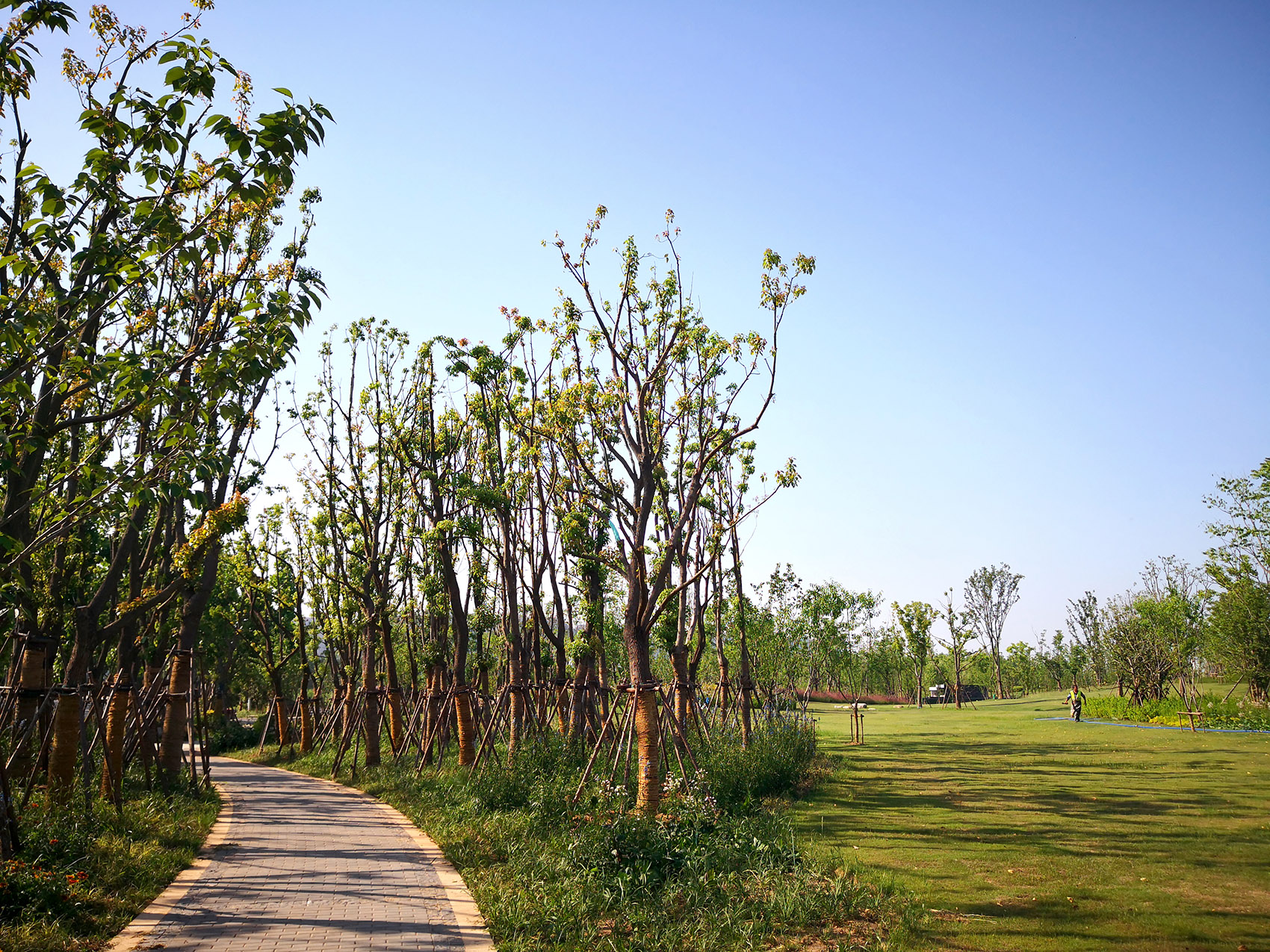 新加坡·南京生态科技岛-103