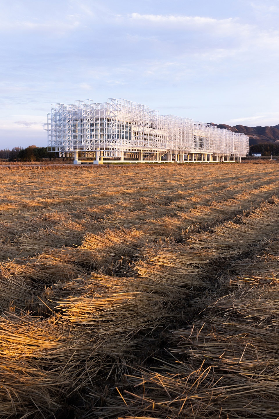 张北海市丨中国河北丨BUZZ庄子玉工作室-29