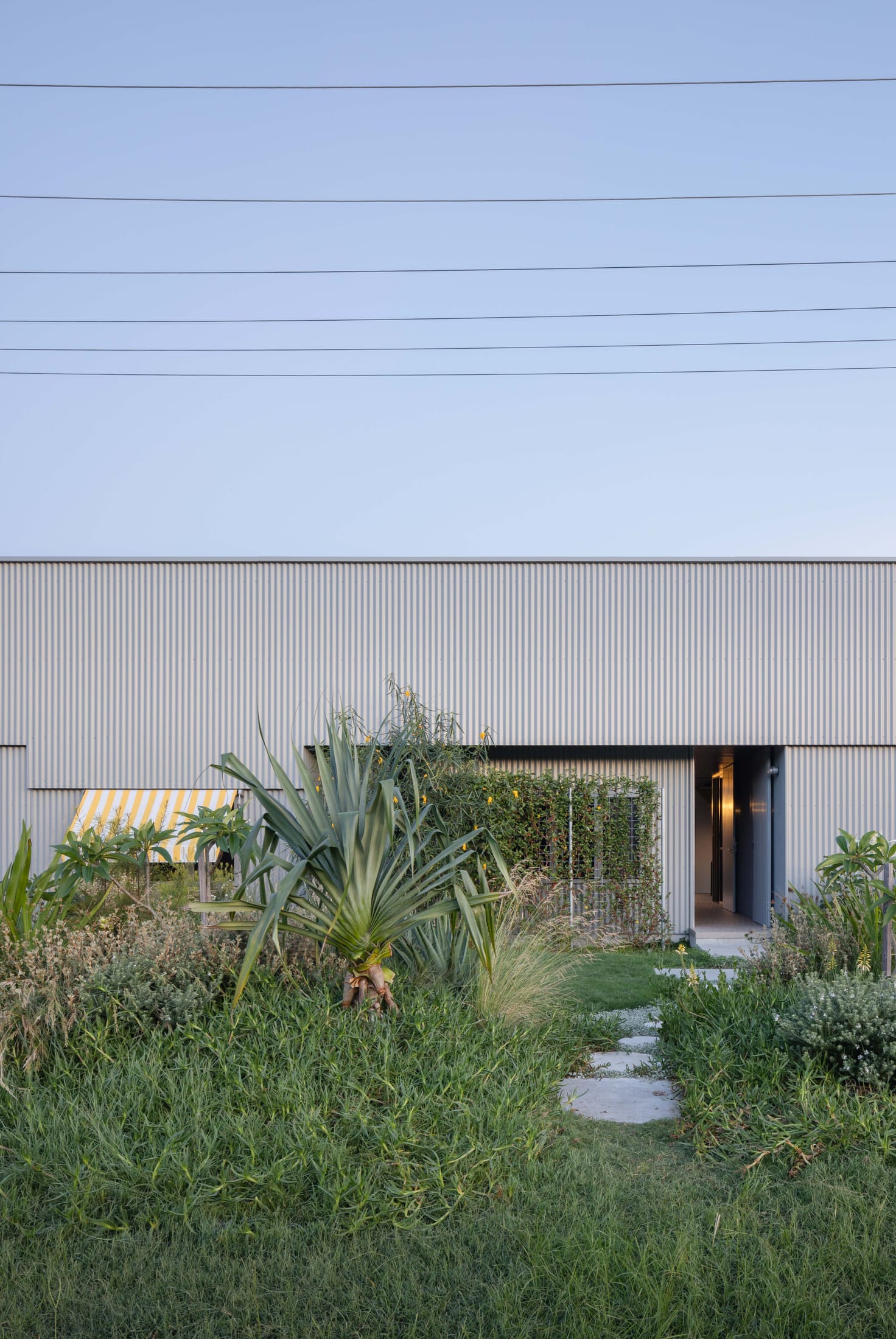 格雷博·

说明：由于Greybo可能是人名、品牌名等专有名词，这里按音译处理若有具体背景信息，可进一步优化翻译 丨澳大利亚新南威尔士丨Welsh + Major-36