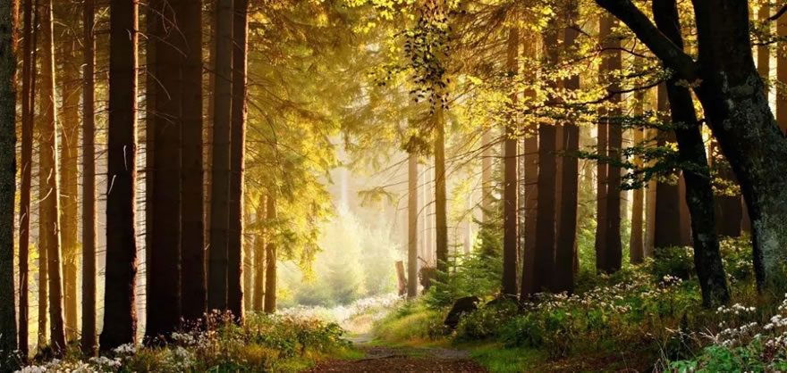 重庆万科彩云湖生活广场-130