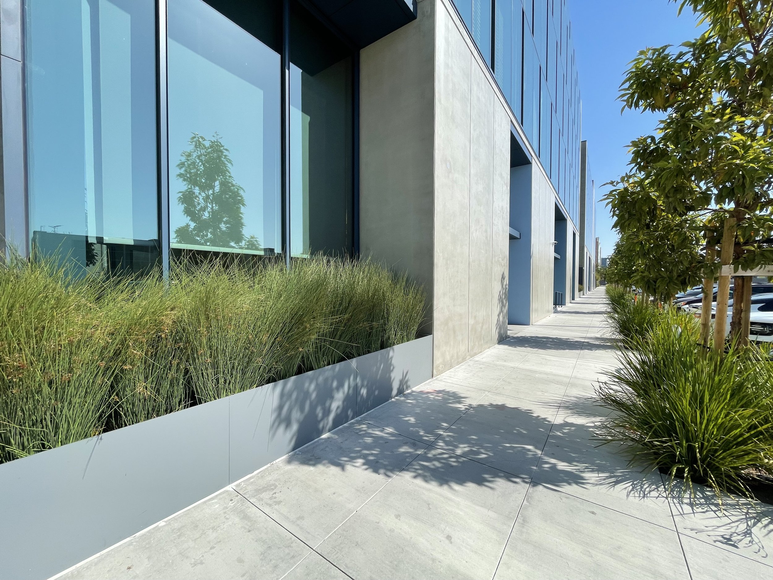 丨美国加利福尼亚-14