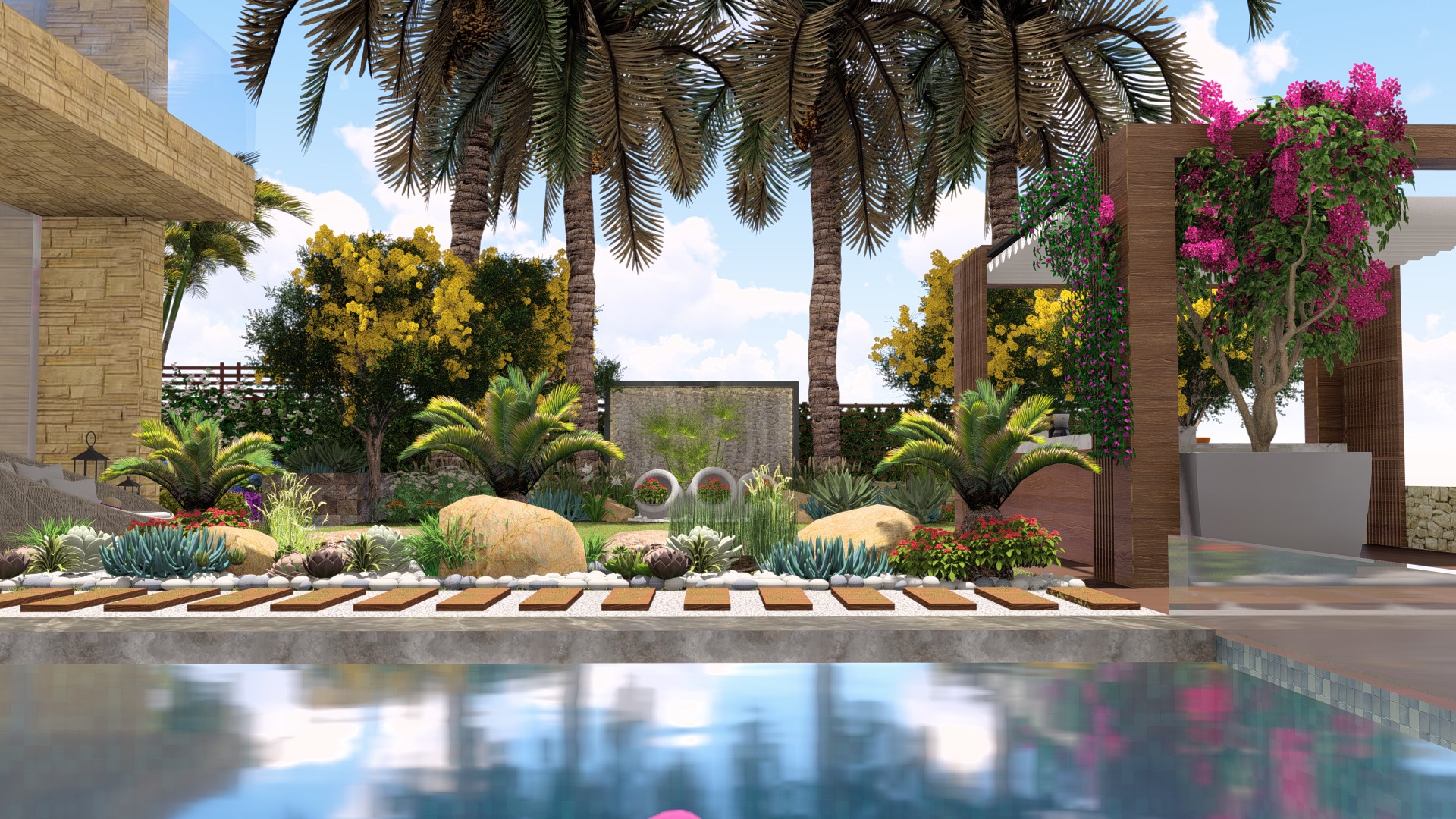 北海岸海贝壳丨埃及丨Amr Emara-3