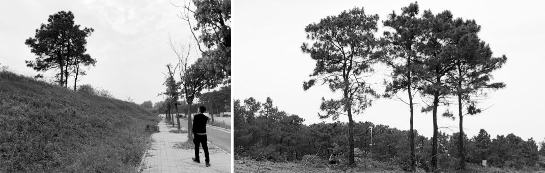 南京弘阳金辉·时光悦府 | 自然与设计的和谐共生-12