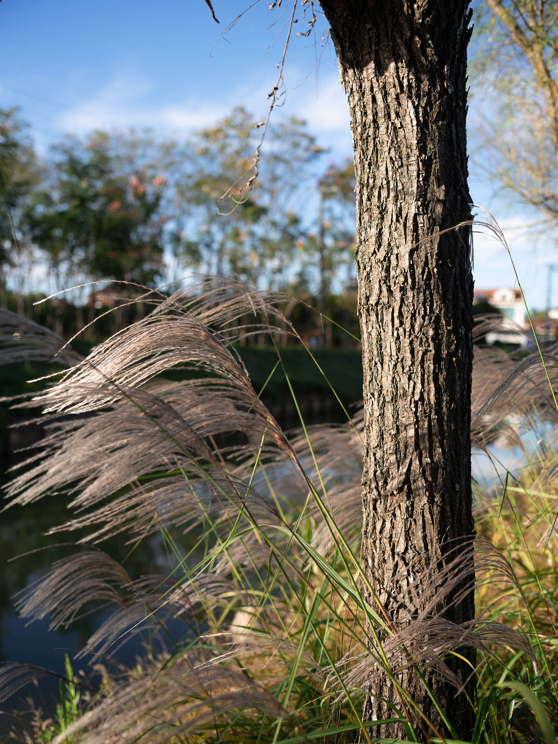 崇明松慢民宿丨中国上海丨RooMoo 如莫空间-27