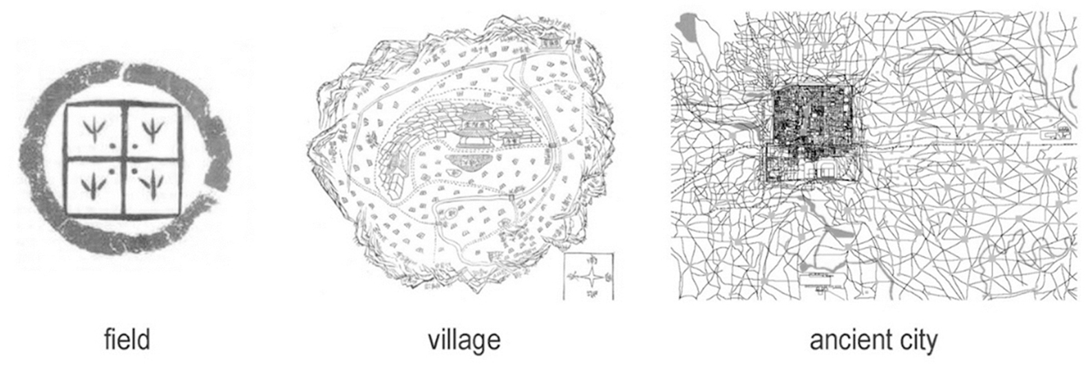 深圳天际农场 · 农民智慧融入城市更新-16