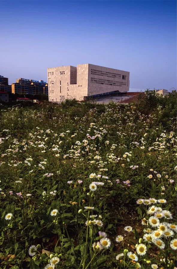 上海交通大学新建闵行校区李政道图书馆丨中国上海丨华南理工大学建筑设计研究院有限公司-20