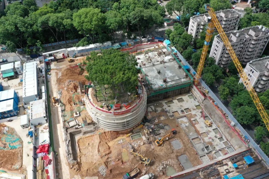 荔园外国语小学（景田）丨中国深圳丨直向建筑-13