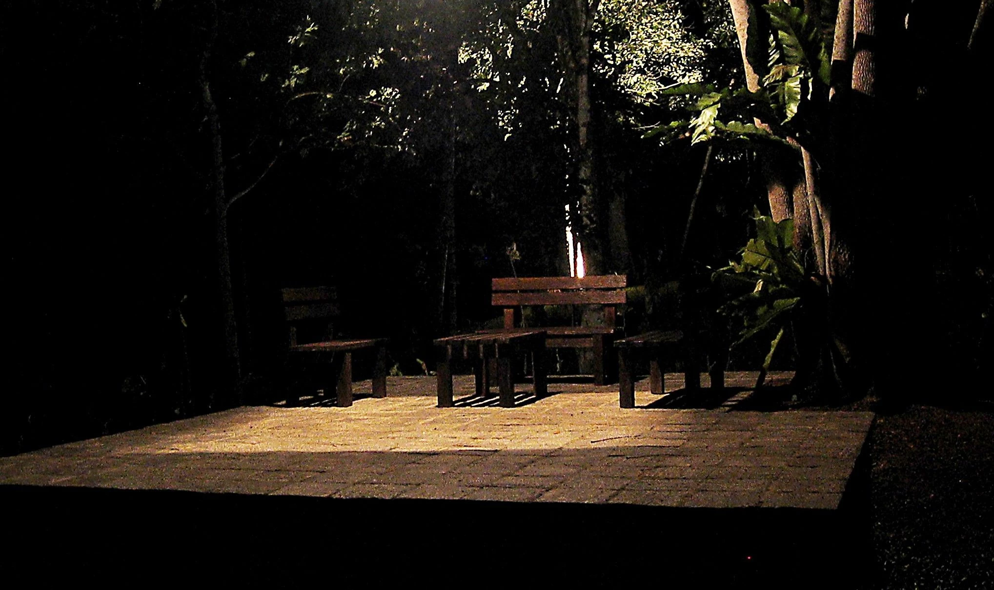 斯里兰卡“荆棘”庄园-43