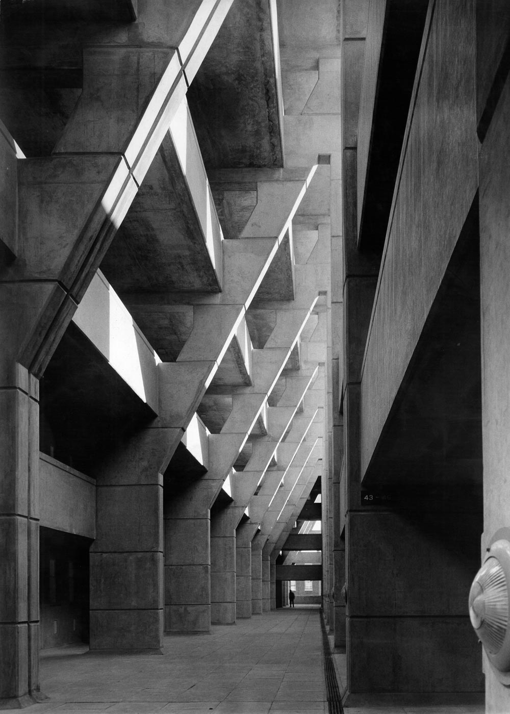 丨Levitt Bernstein-33