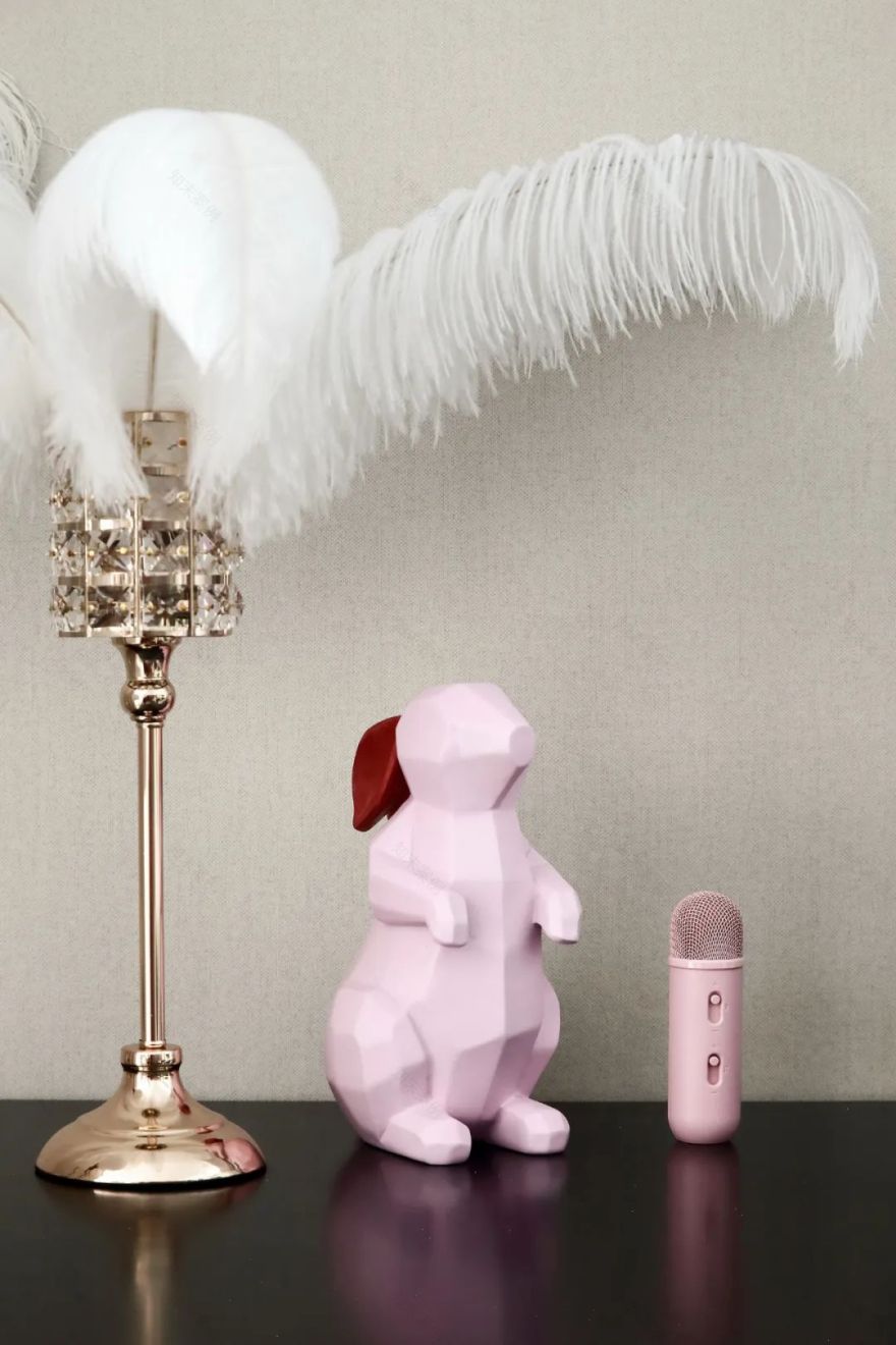 首发 | 小户型不凑合,年轻人的家更具仪式感-34