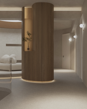 医 美 / Medical beauty