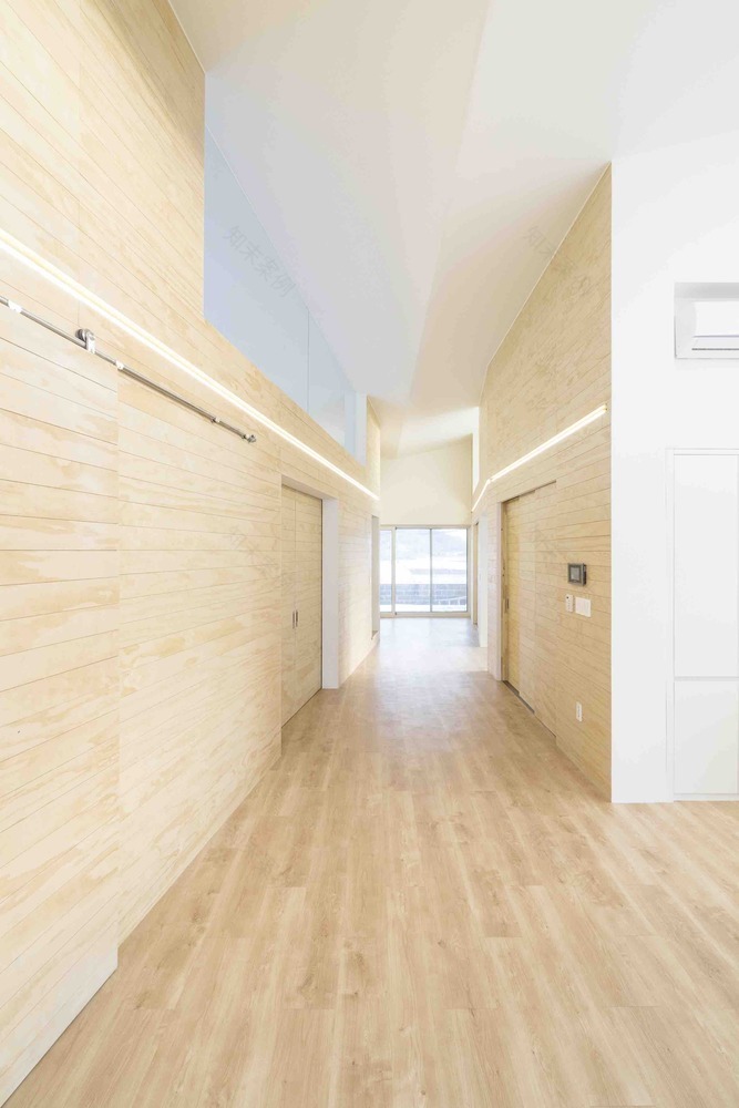 温暖阳光照亮受伤主人生活-59