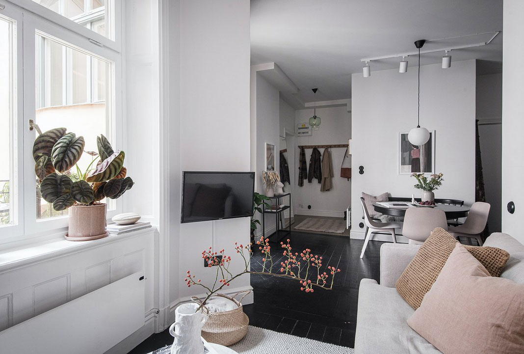 瑞典 42 平米奇趣公寓 | 彩绘玻璃门与黑色木地板的创意设计-5