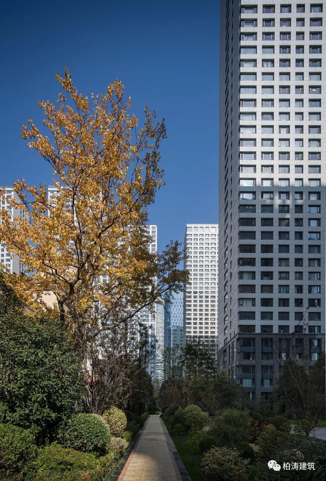 合肥栢悦公馆——绿色生态与城市文化的完美融合-16