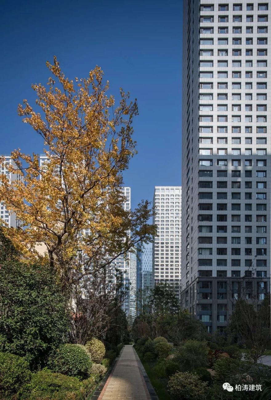 合肥栢悦公馆——绿色生态与城市文化的完美融合-16