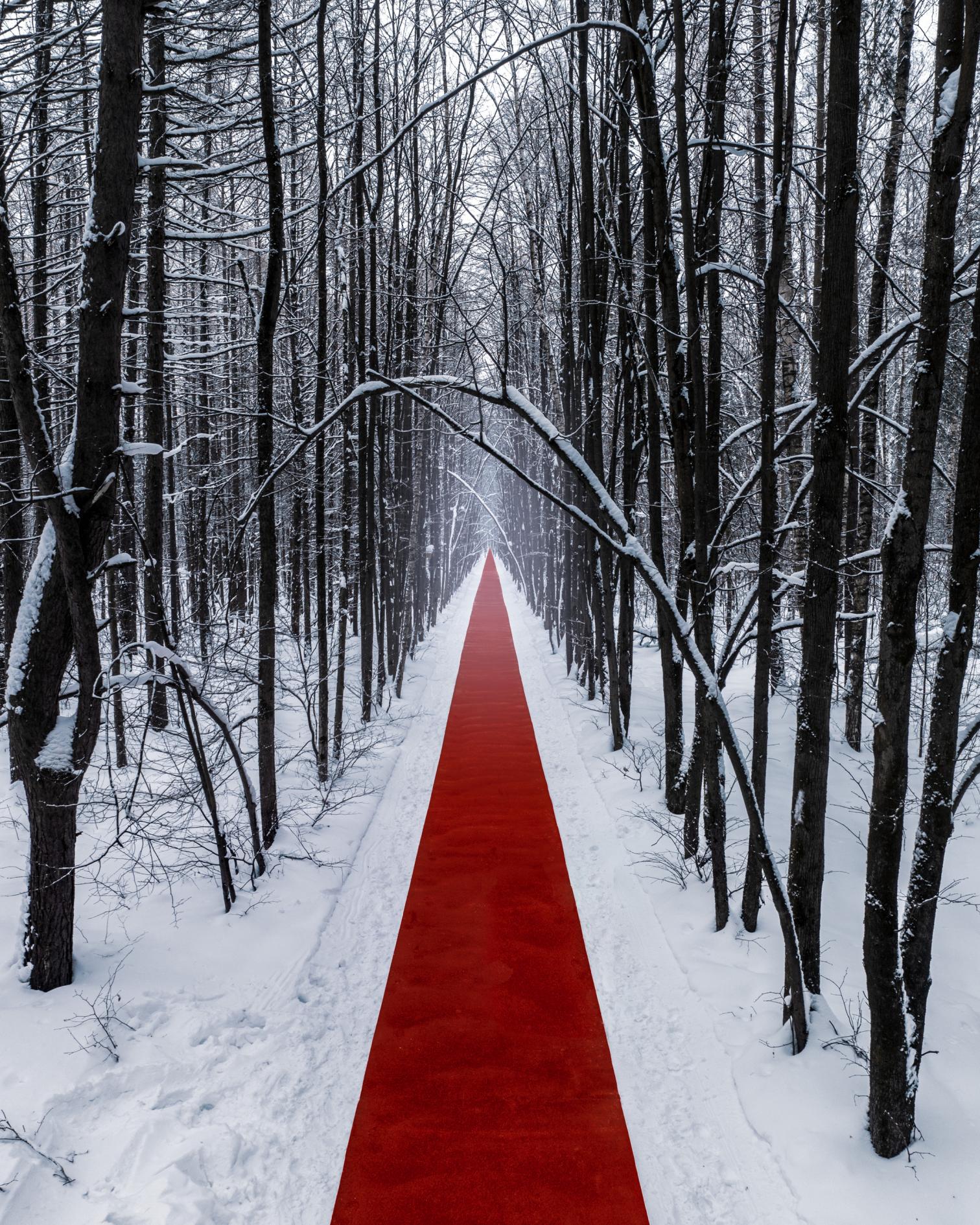 莫斯科马列维奇公园的红色地毯丨俄罗斯莫斯科丨El artista-11