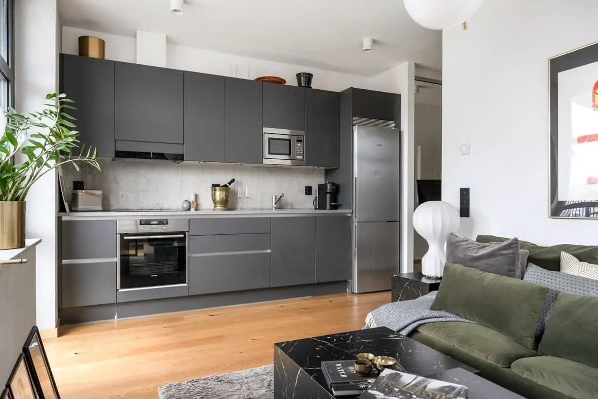 瑞典 33m²精致一居，现代功能之选-5