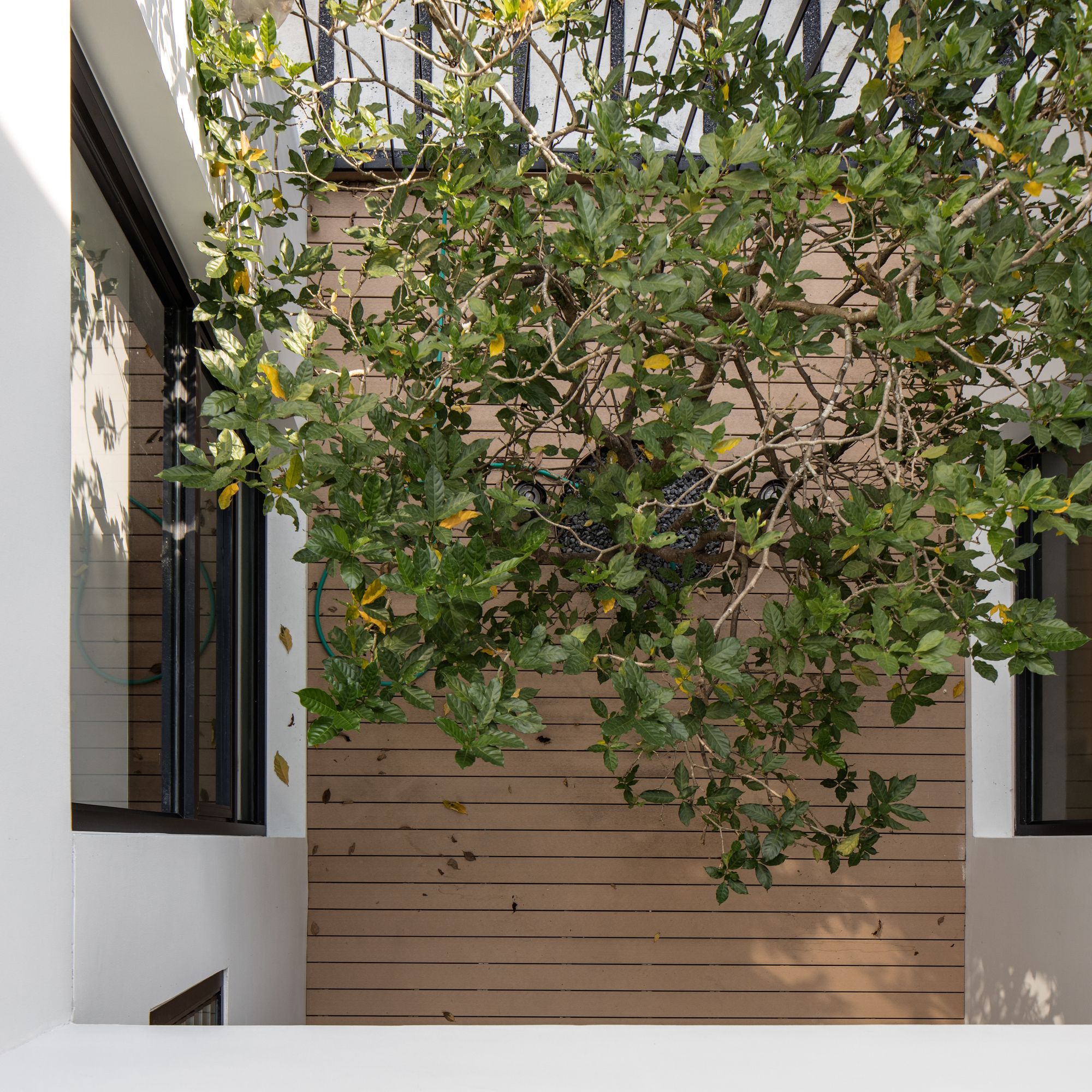 曼谷郊区六居室庭院住宅-54