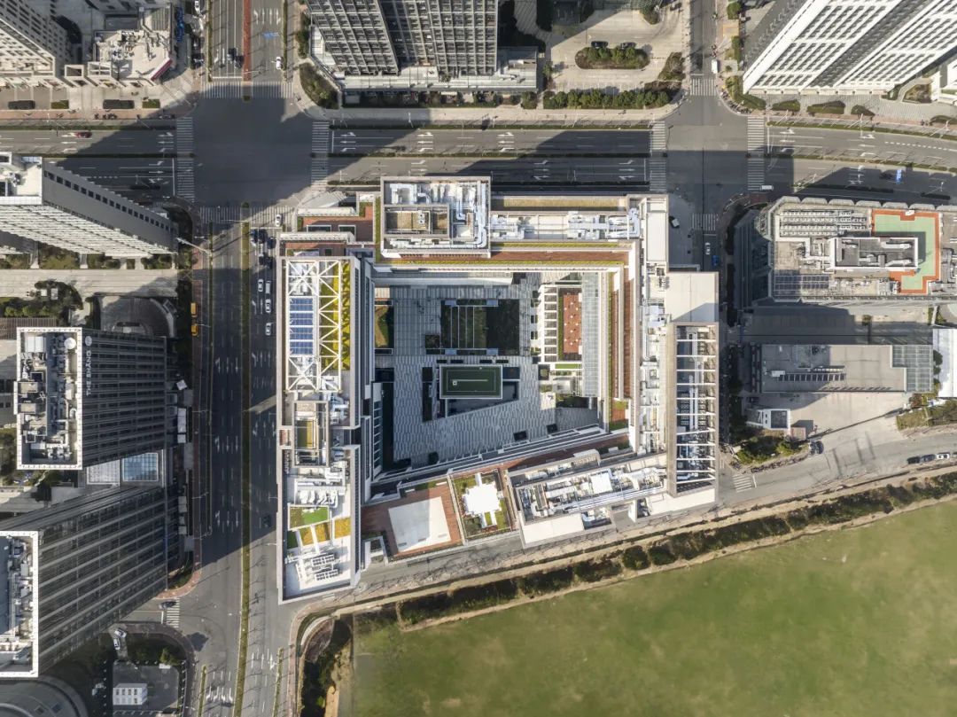 上海纽约大学跨文化校园设计丨中国上海-1