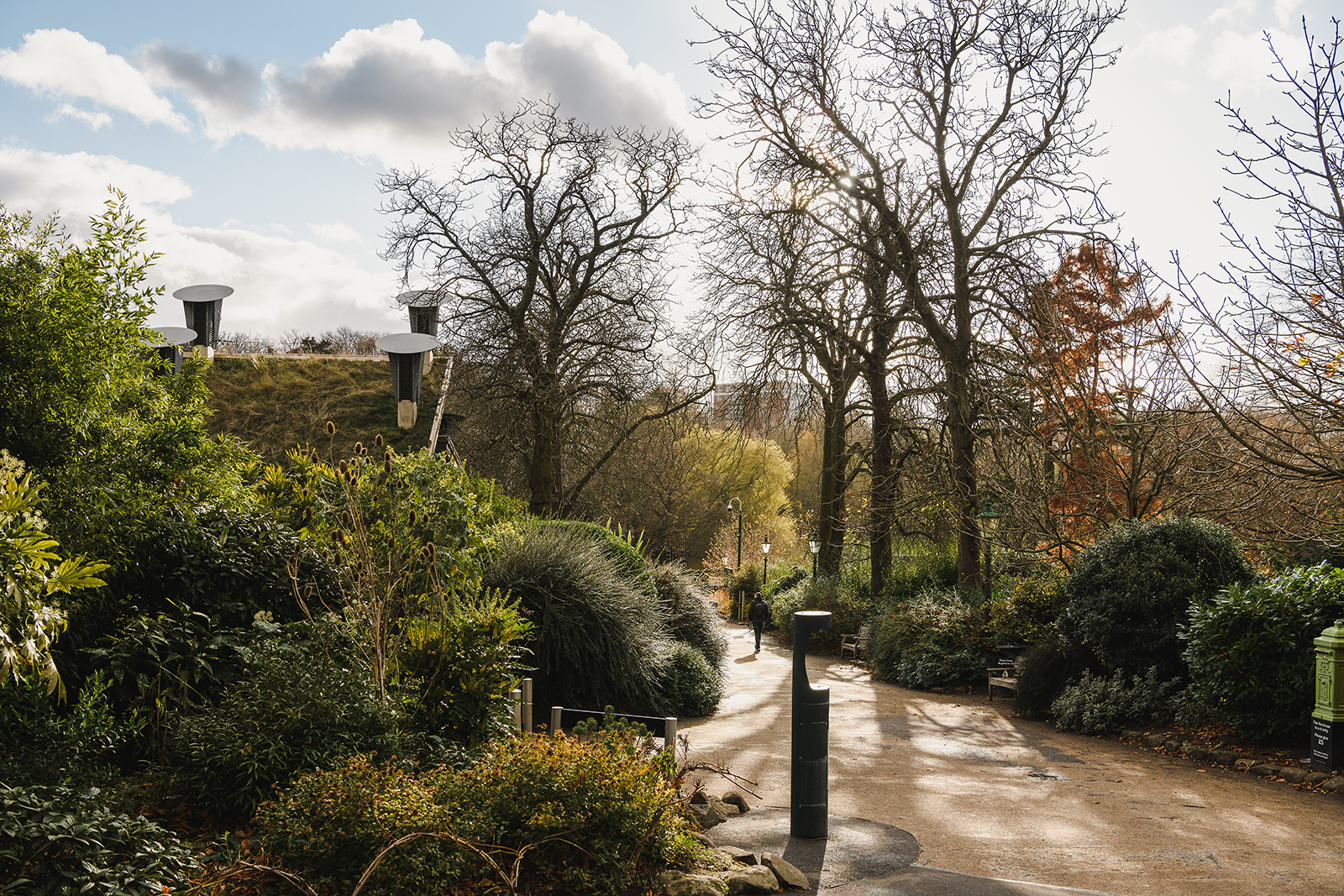 A local’s guide to Forest Hill - from the Horniman Museum to modernist architecture | Journal | The Modern House-20